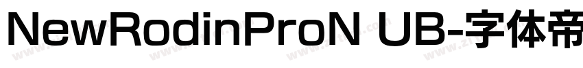 NewRodinProN UB字体转换